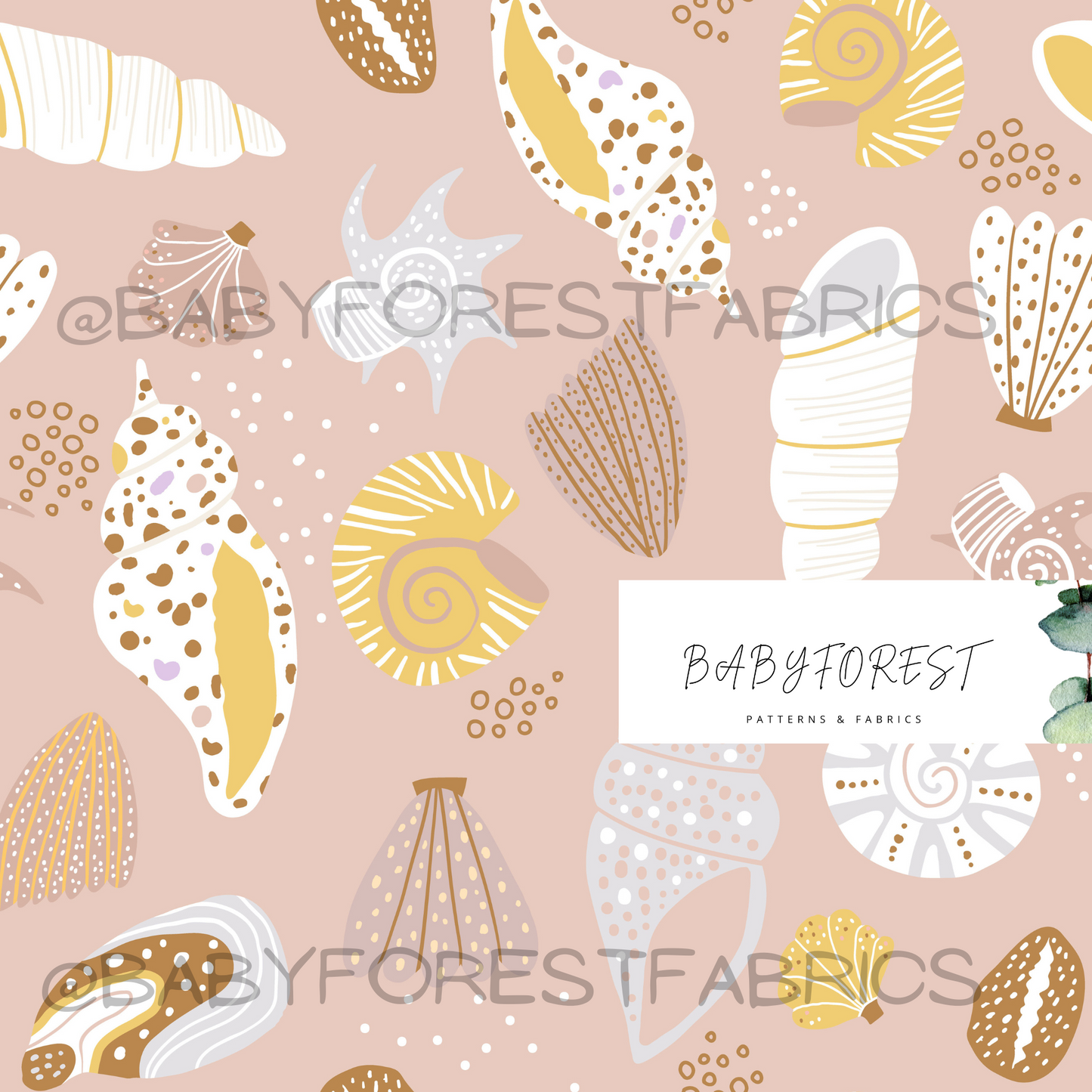 Summer Shells