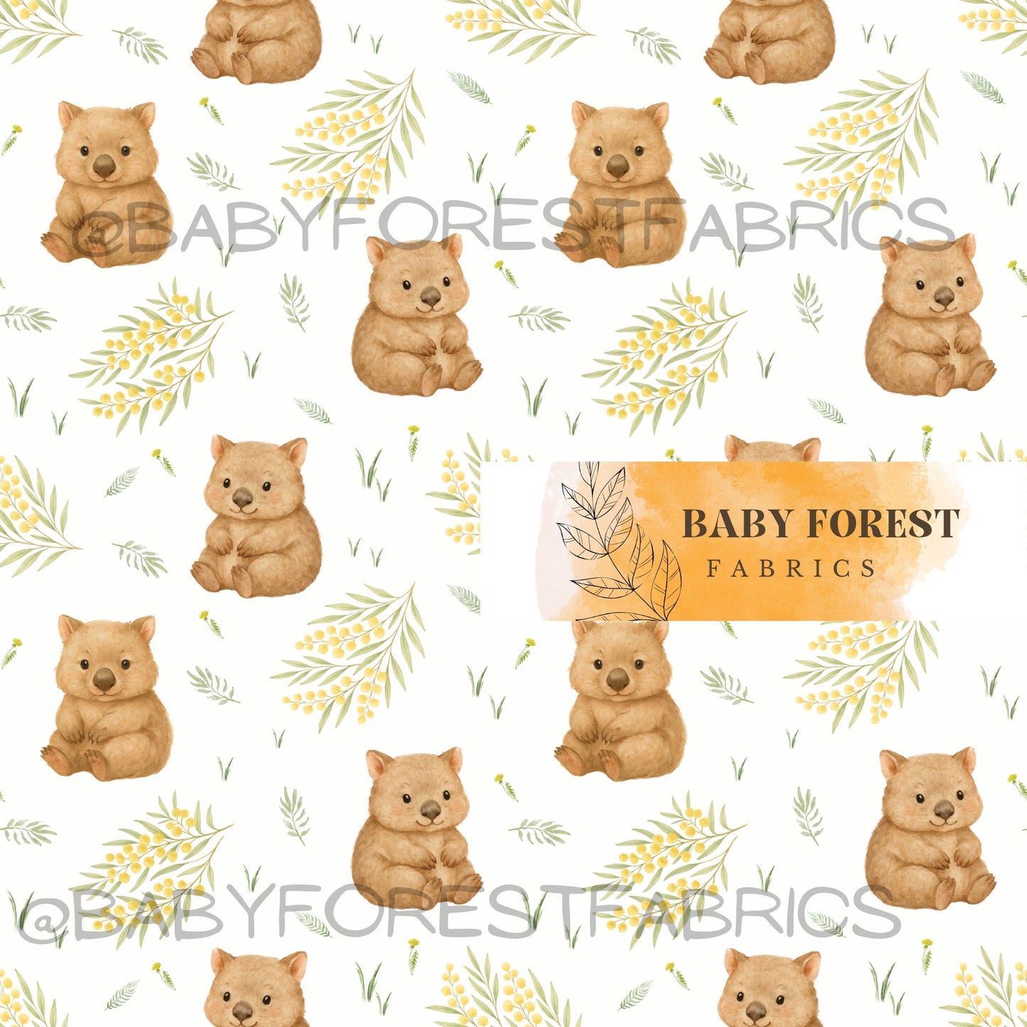Baby wombat