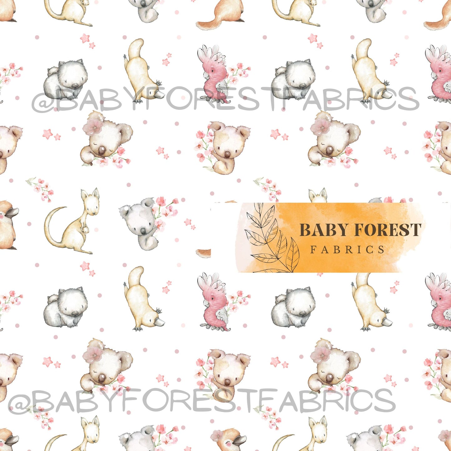 Sweet Bush babies