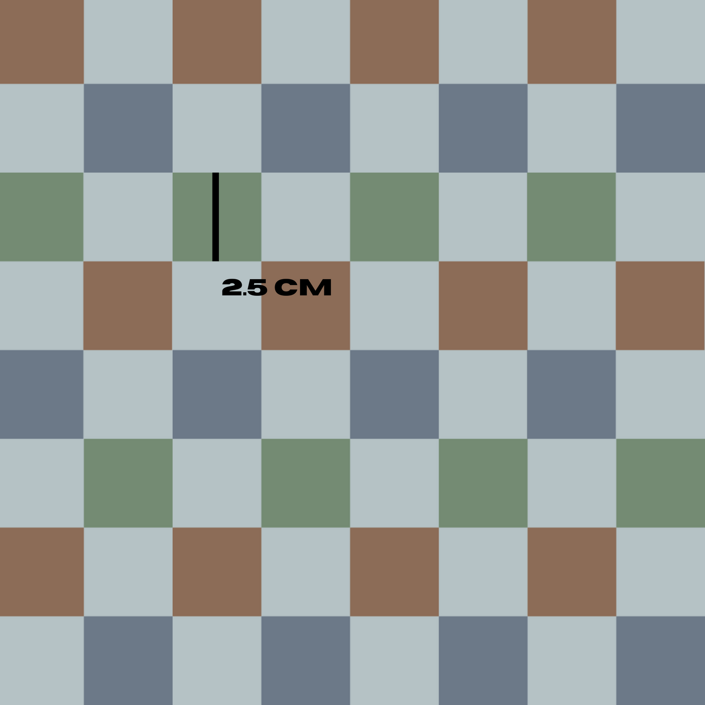 Checks to match Dino summer blue