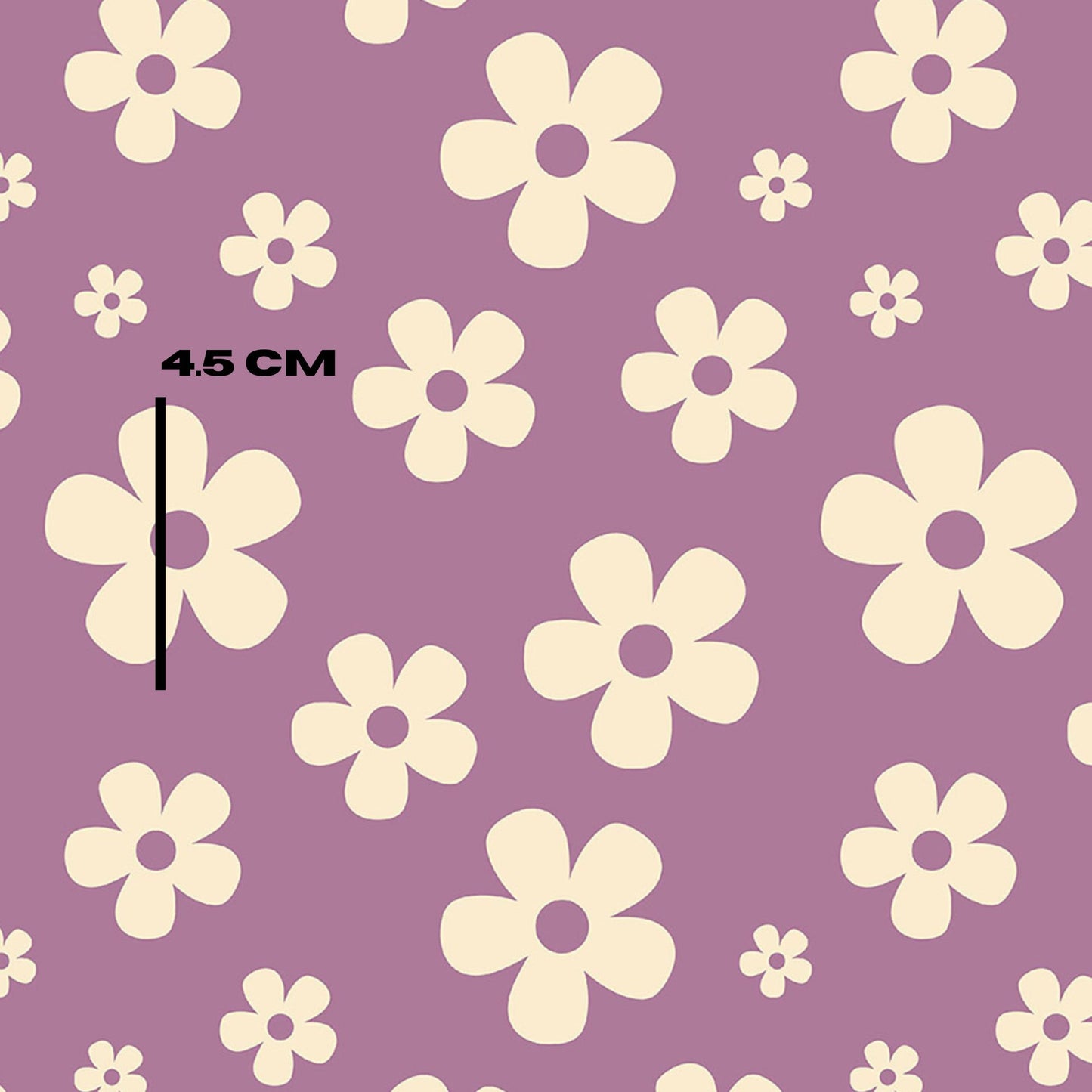 Mauve Daisy