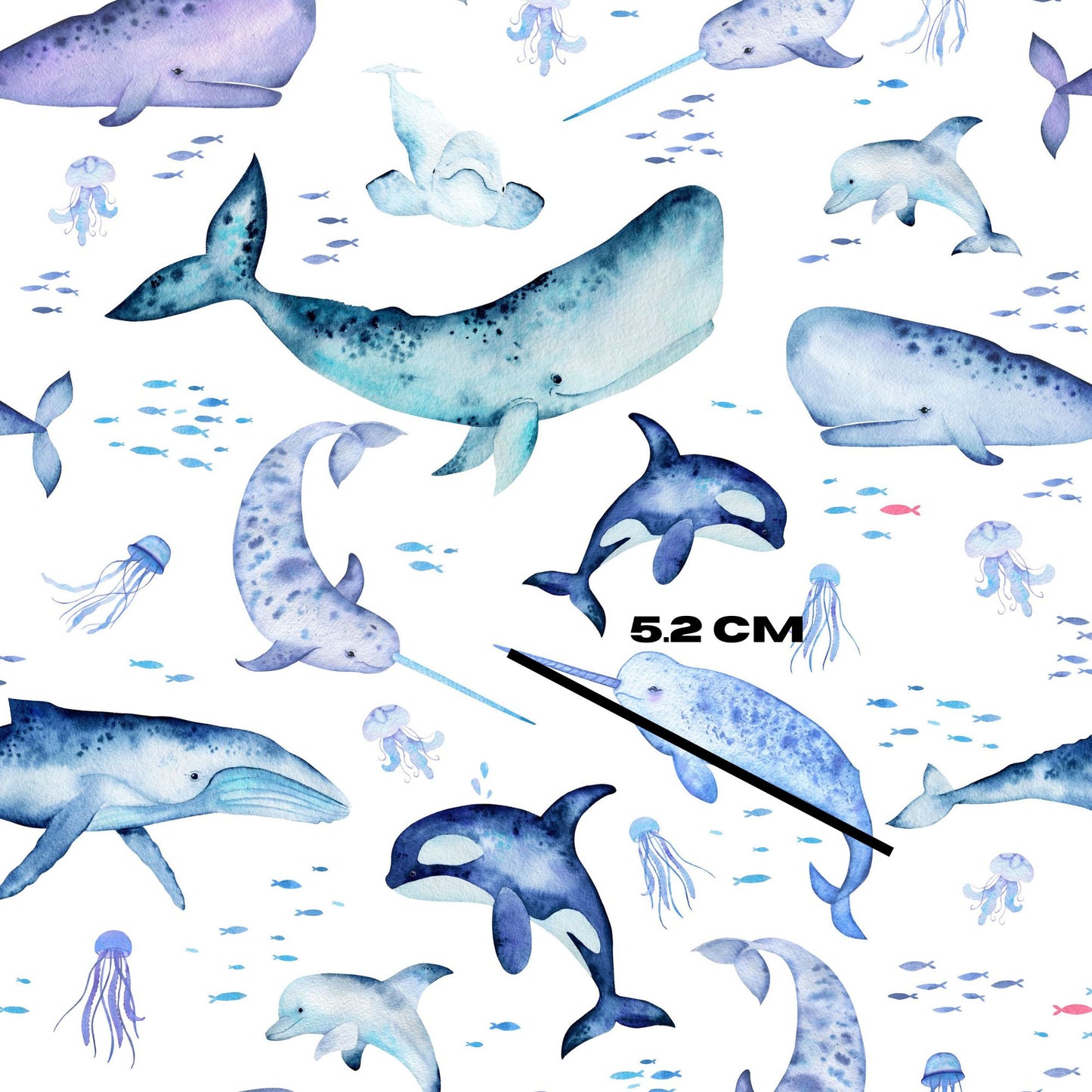 Whale