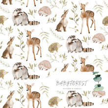 Load image into Gallery viewer, Woodland Animals
