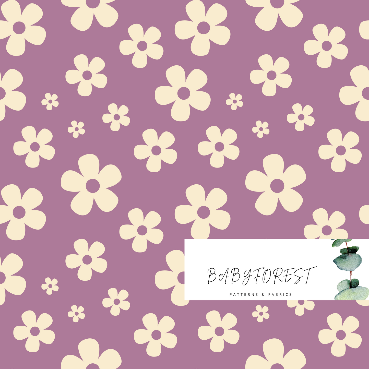 Mauve Daisy
