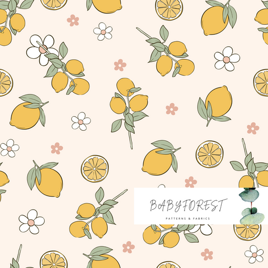 Clementine by onepalettestudio